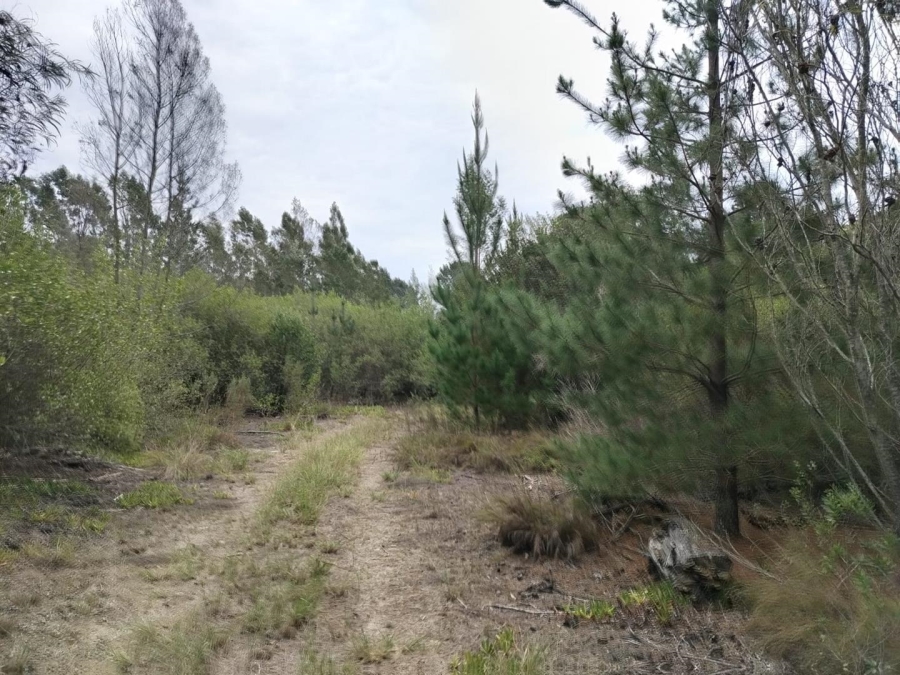 0 Bedroom Property for Sale in Sedgefield Central Western Cape